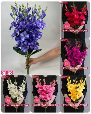 Изображение 1