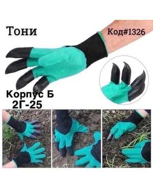 Изображение 1